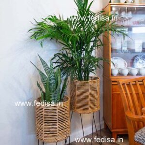 Dining Room Design Dining Table Dining Chairs Dining Table Set Model No - 0828